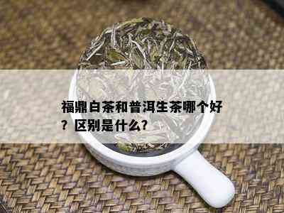 福鼎白茶和普洱生茶哪个好？区别是什么？