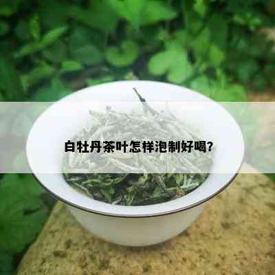 白牡丹茶叶怎样泡制好喝？