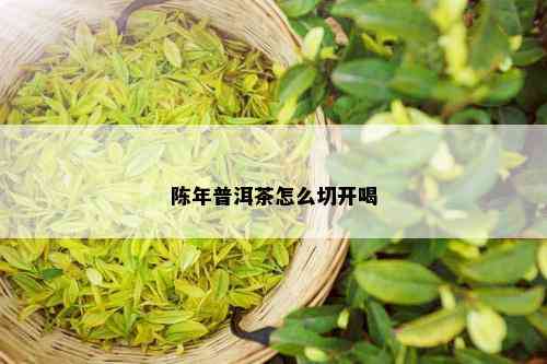 陈年普洱茶怎么切开喝