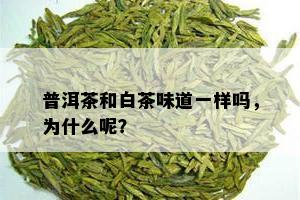 普洱茶和白茶味道一样吗，为什么呢？