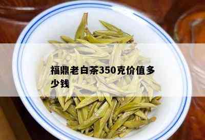 福鼎老白茶350克价值多少钱