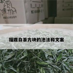 福鼎白茶方块的泡法和文案