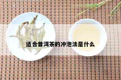 适合普洱茶的冲泡法是什么