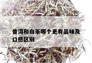 普洱和白茶哪个更有品味及口感区别