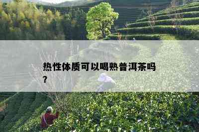 热性体质可以喝熟普洱茶吗？