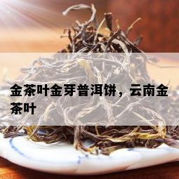 金茶叶金芽普洱饼，云南金茶叶