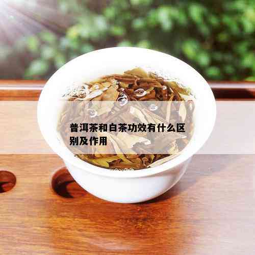 普洱茶和白茶功效有什么区别及作用