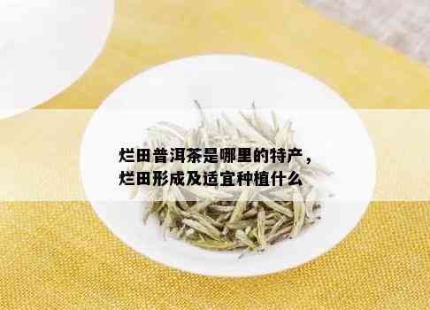 烂田普洱茶是哪里的特产，烂田形成及适宜种植什么