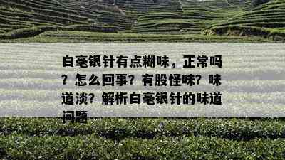 白毫银针有点糊味，正常吗？怎么回事？有股怪味？味道淡？解析白毫银针的味道问题