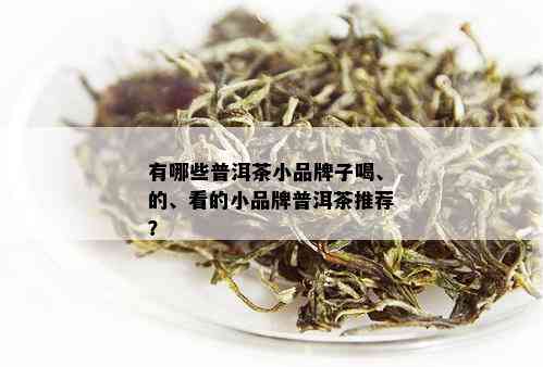 有哪些普洱茶小品牌子喝、的、看的小品牌普洱茶推荐？