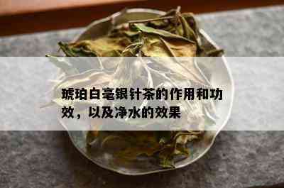 琥珀白毫银针茶的作用和功效，以及净水的效果