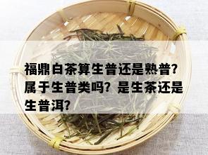 福鼎白茶算生普还是熟普？属于生普类吗？是生茶还是生普洱？