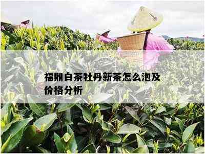 福鼎白茶牡丹新茶怎么泡及价格分析