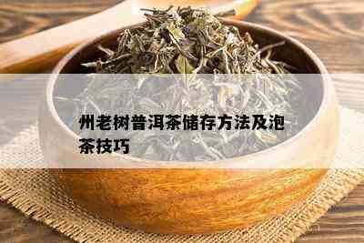 州老树普洱茶储存方法及泡茶技巧