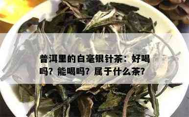 普洱里的白毫银针茶：好喝吗？能喝吗？属于什么茶？