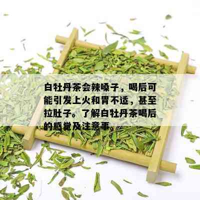 白牡丹茶会辣嗓子，喝后可能引发上火和胃不适，甚至拉肚子。了解白牡丹茶喝后的感觉及注意事。