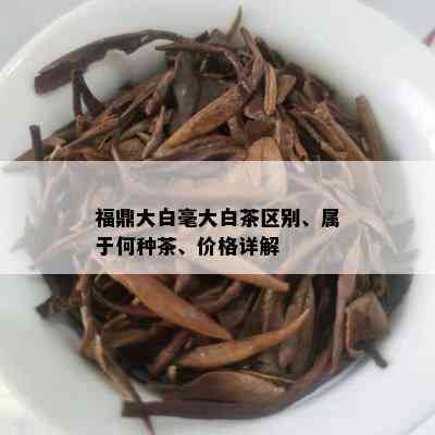 福鼎大白毫大白茶区别、属于何种茶、价格详解