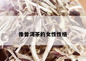 像普洱茶的女性性格