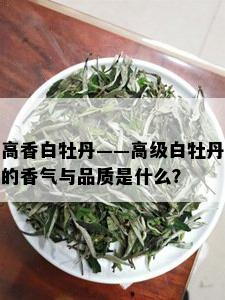 高香白牡丹——高级白牡丹的香气与品质是什么？