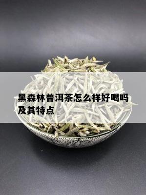 黑森林普洱茶怎么样好喝吗及其特点