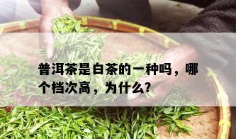 普洱茶是白茶的一种吗，哪个档次高，为什么？