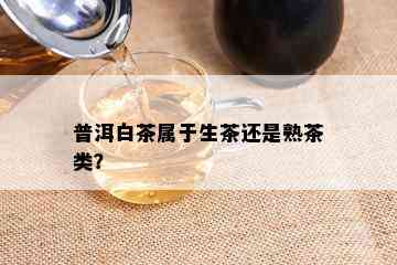 普洱白茶属于生茶还是熟茶类？