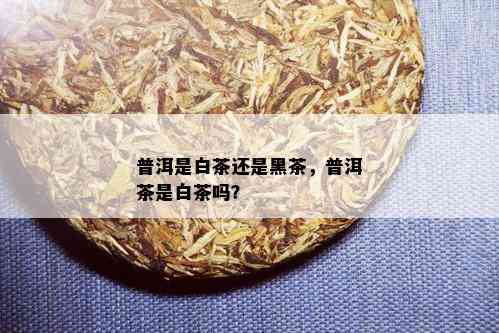 普洱是白茶还是黑茶，普洱茶是白茶吗？