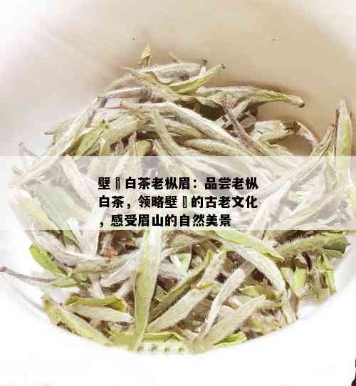 壁瑄白茶老枞眉：品尝老枞白茶，领略壁瑄的古老文化，感受眉山的自然美景