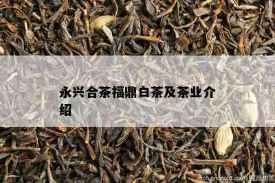 永兴合茶福鼎白茶及茶业介绍