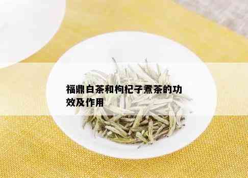 福鼎白茶和枸杞子煮茶的功效及作用