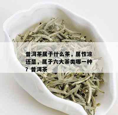 普洱茶属于什么茶，属性凉还是，属于六大茶类哪一种？普洱茶