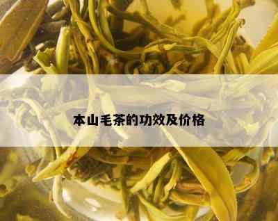 本山毛茶的功效及价格