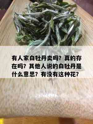 有人家白牡丹卖吗？真的存在吗？其他人说的白牡丹是什么意思？有没有这种花？