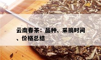 云南春茶：品种、采摘时间、价格总结