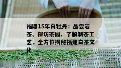 福鼎15年白牡丹：品尝岩茶、探访茶园、了解制茶工艺，全方位揭秘福建白茶文化