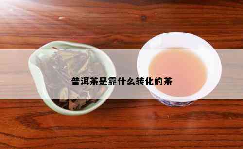 普洱茶是靠什么转化的茶