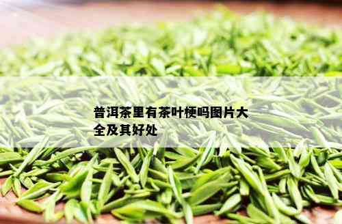 普洱茶里有茶叶梗吗图片大全及其好处