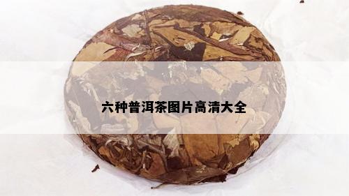 六种普洱茶图片高清大全