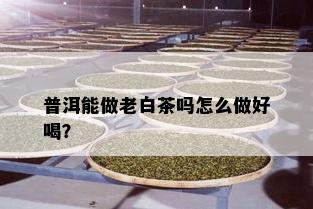 普洱能做老白茶吗怎么做好喝？