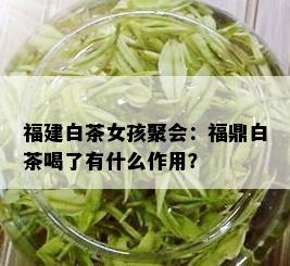 福建白茶女孩聚会：福鼎白茶喝了有什么作用？