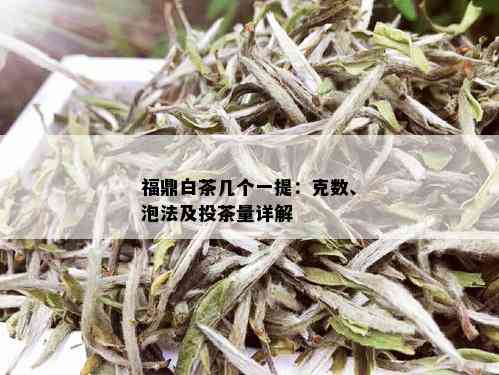 福鼎白茶几个一提：克数、泡法及投茶量详解