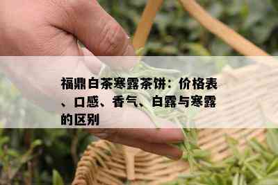 福鼎白茶寒露茶饼：价格表、口感、香气、白露与寒露的区别