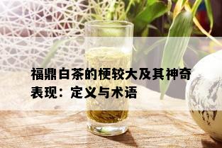 福鼎白茶的梗较大及其神奇表现：定义与术语