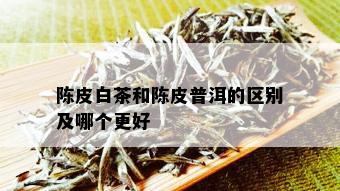 陈皮白茶和陈皮普洱的区别及哪个更好