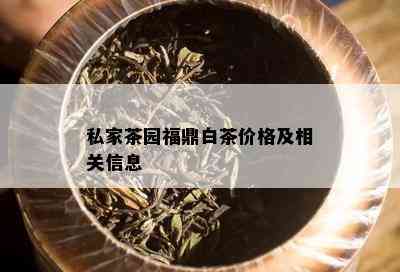 私家茶园福鼎白茶价格及相关信息