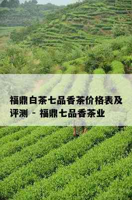 福鼎白茶七品香茶价格表及评测 - 福鼎七品香茶业