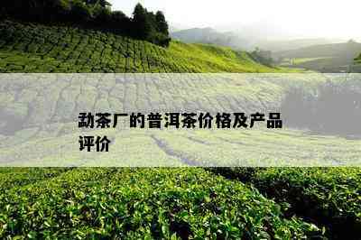 勐茶厂的普洱茶价格及产品评价