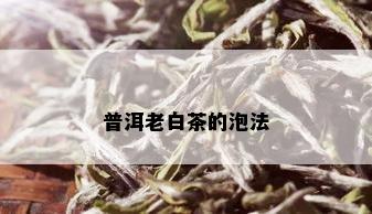 普洱老白茶的泡法