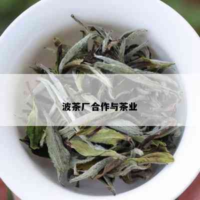 波茶厂合作与茶业