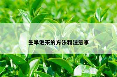 生早泡茶的方法和注意事